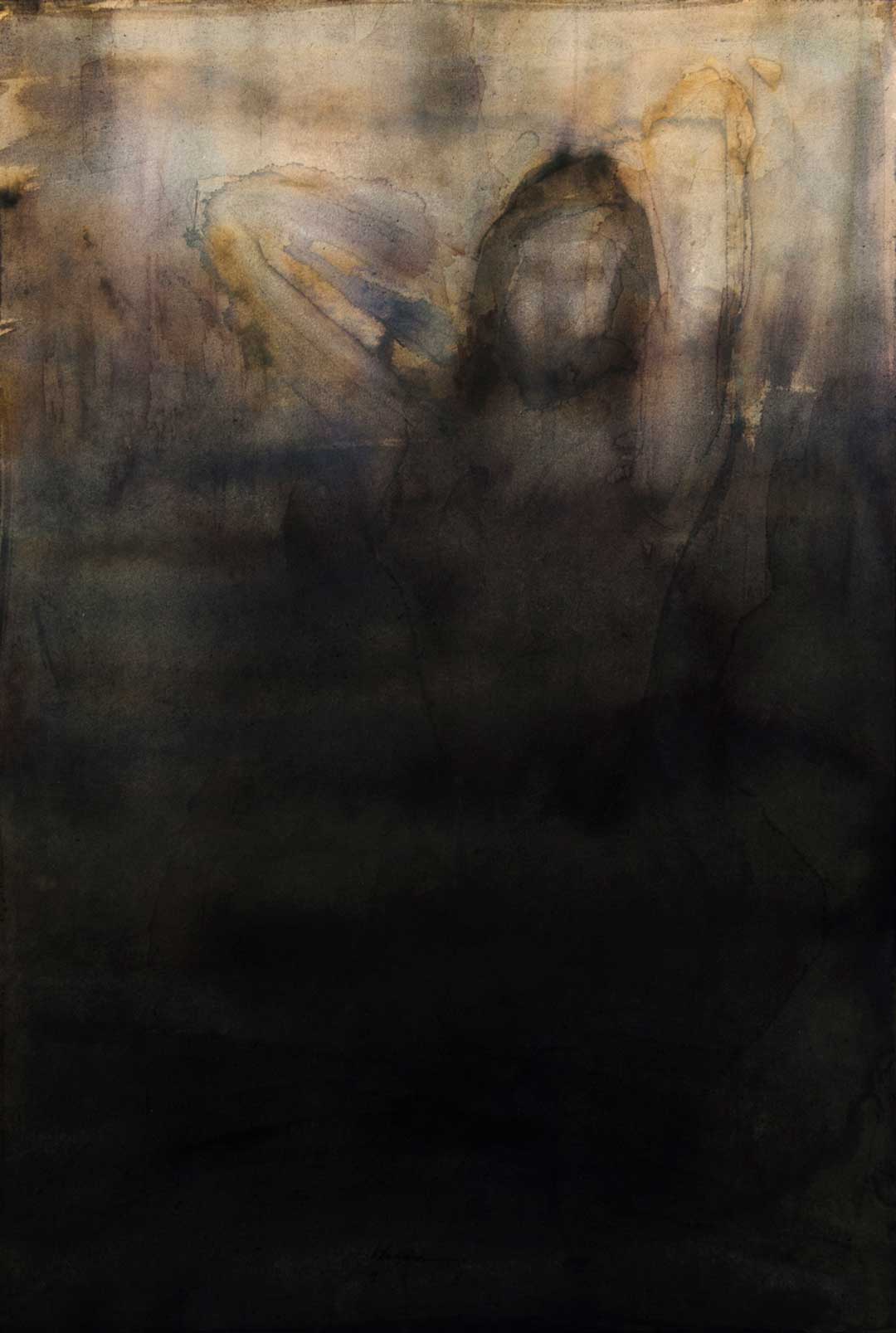 hamid halimi's appear.ance collection